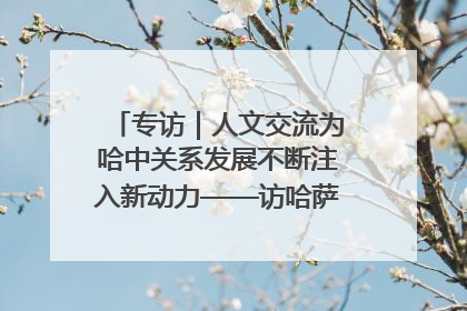 专访｜人文交流为哈中关系发展不断注入新动力——访哈萨克斯坦文化与信息部部长巴拉耶娃