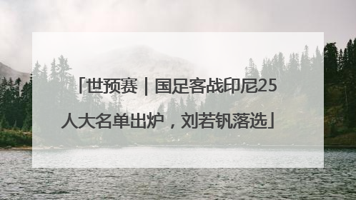 世预赛｜国足客战印尼25人大名单出炉，刘若钒落选