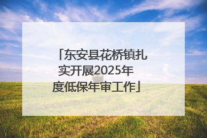 东安县花桥镇扎实开展2025年度低保年审工作