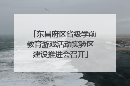 东昌府区省级学前教育游戏活动实验区建设推进会召开