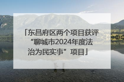 东昌府区两个项目获评“聊城市2024年度法治为民实事”项目