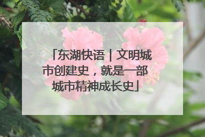 东湖快语｜文明城市创建史，就是一部城市精神成长史