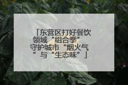 东营区打好餐饮领域“组合拳” 守护城市“烟火气”与“生态味”