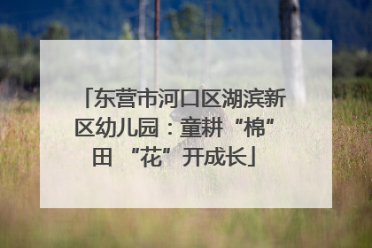 东营市河口区湖滨新区幼儿园：童耕“棉”田 “花”开成长