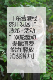 东营港经济开发区“政策+活动”双轮驱动 提振消费能力 释放消费潜力