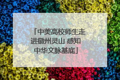 中美高校师生走进徽州灵山 感知中华文脉基底
