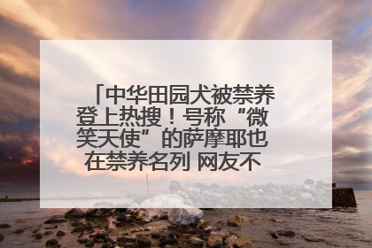 中华田园犬被禁养登上热搜！号称“微笑天使”的萨摩耶也在禁养名列 网友不解西安多部门回应