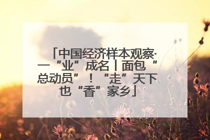 中国经济样本观察·一“业”成名丨面包“总动员”！“走”天下也“香”家乡