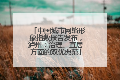 中国城市网络形象指数报告发布，泸州：治理、宜居方面的双优典范
