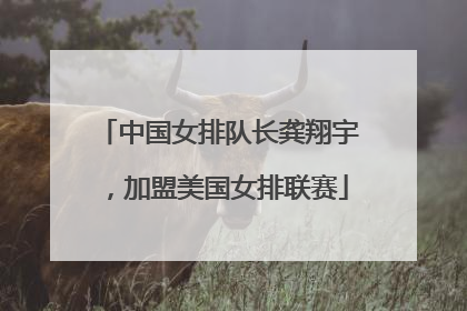 中国女排队长龚翔宇，加盟美国女排联赛