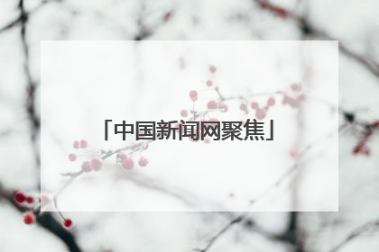 中国新闻网聚焦
