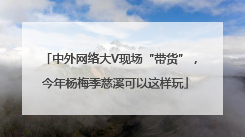 中外网络大V现场“带货”，今年杨梅季慈溪可以这样玩