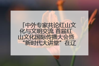 中外专家共论红山文化与文明交流 首届红山文化国际传播大会暨“新时代大讲堂”在辽宁朝阳举办