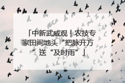 中新武威观｜农技专家田间地头“把脉开方”送“及时雨”