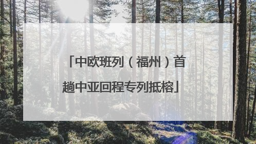 中欧班列（福州）首趟中亚回程专列抵榕