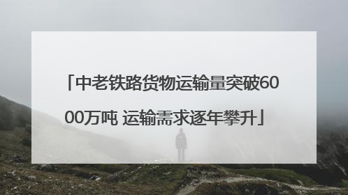 中老铁路货物运输量突破6000万吨 运输需求逐年攀升