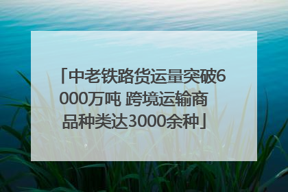 中老铁路货运量突破6000万吨 跨境运输商品种类达3000余种