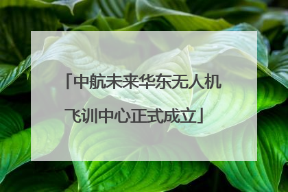 中航未来华东无人机飞训中心正式成立