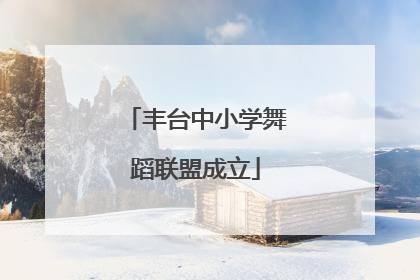 丰台中小学舞蹈联盟成立