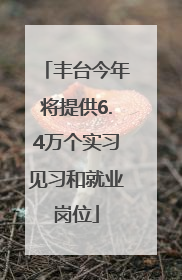丰台今年将提供6.4万个实习见习和就业岗位