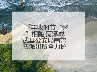 丰收时节“警”相随 菏泽成武县公安局南鲁集派出所全力护航大蒜收获季