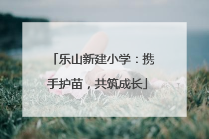 乐山新建小学：携手护苗，共筑成长