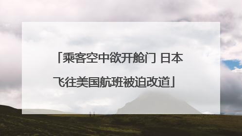 乘客空中欲开舱门 日本飞往美国航班被迫改道