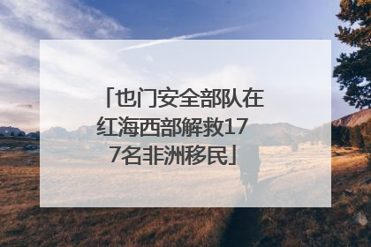 也门安全部队在红海西部解救177名非洲移民