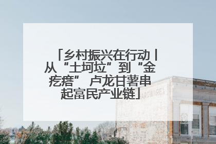 乡村振兴在行动丨从“土坷垃”到“金疙瘩” 卢龙甘薯串起富民产业链