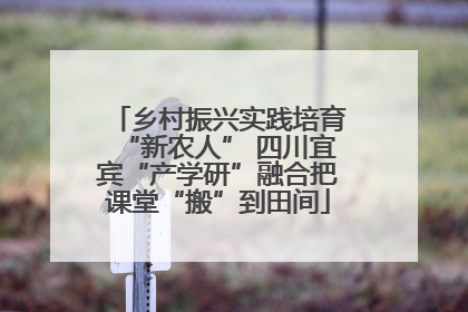 乡村振兴实践培育“新农人” 四川宜宾“产学研”融合把课堂“搬”到田间