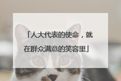 人大代表的使命，就在群众满意的笑容里