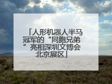 人形机器人半马冠军的“同胞兄弟”亮相深圳文博会北京展区
