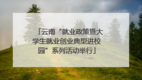 云南“就业政策暨大学生就业创业典型进校园”系列活动举行