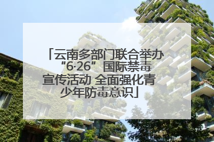 云南多部门联合举办“6·26”国际禁毒宣传活动 全面强化青少年防毒意识