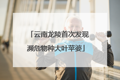 云南龙陵首次发现濒危物种大叶苹婆