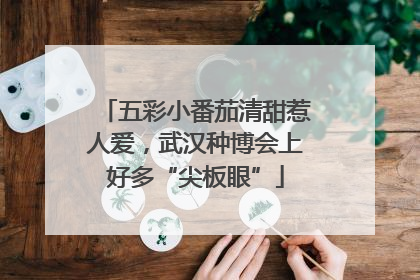 五彩小番茄清甜惹人爱，武汉种博会上好多“尖板眼”