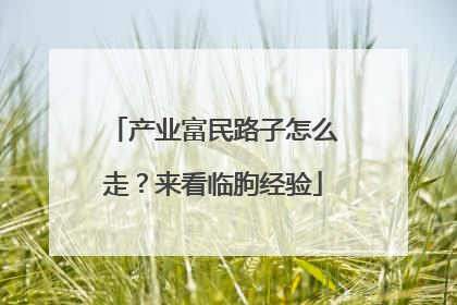 产业富民路子怎么走？来看临朐经验
