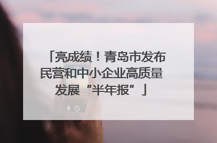 亮成绩！青岛市发布民营和中小企业高质量发展“半年报”