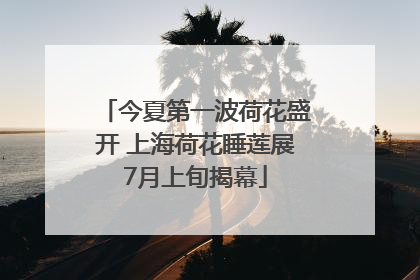 今夏第一波荷花盛开 上海荷花睡莲展7月上旬揭幕
