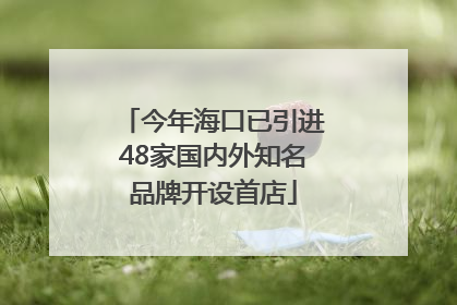 今年海口已引进48家国内外知名品牌开设首店
