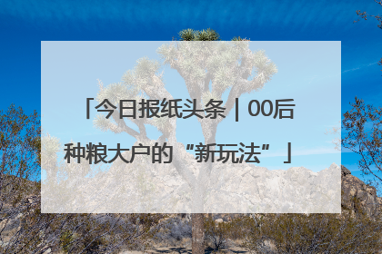 今日报纸头条｜00后种粮大户的“新玩法”