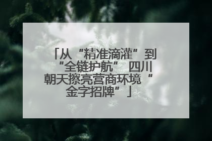 从“精准滴灌”到“全链护航” 四川朝天擦亮营商环境“金字招牌”