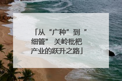 从“广种”到“细管” 关岭枇杷产业的跃升之路