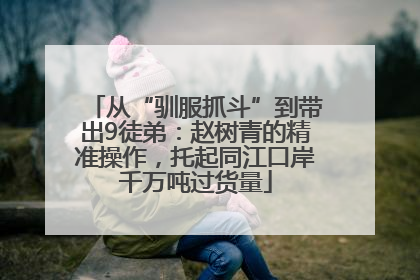 从“驯服抓斗”到带出9徒弟：赵树青的精准操作，托起同江口岸千万吨过货量