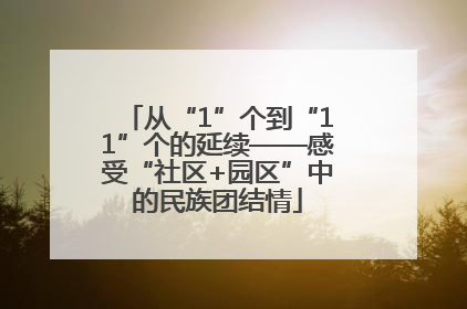 从“1”个到“11”个的延续——感受“社区+园区”中的民族团结情