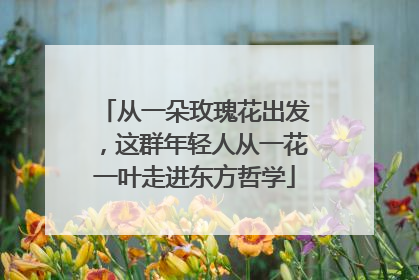 从一朵玫瑰花出发，这群年轻人从一花一叶走进东方哲学