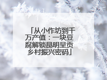 从小作坊到千万产值：一块豆腐解锁昆明呈贡乡村振兴密码