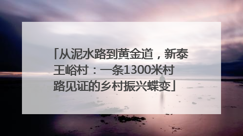 从泥水路到黄金道，新泰王峪村：一条1300米村路见证的乡村振兴蝶变