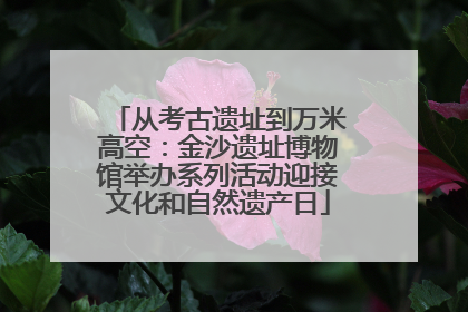 从考古遗址到万米高空：金沙遗址博物馆举办系列活动迎接文化和自然遗产日