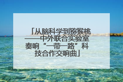 从脑科学到猕猴桃——中外联合实验室奏响“一带一路”科技合作交响曲